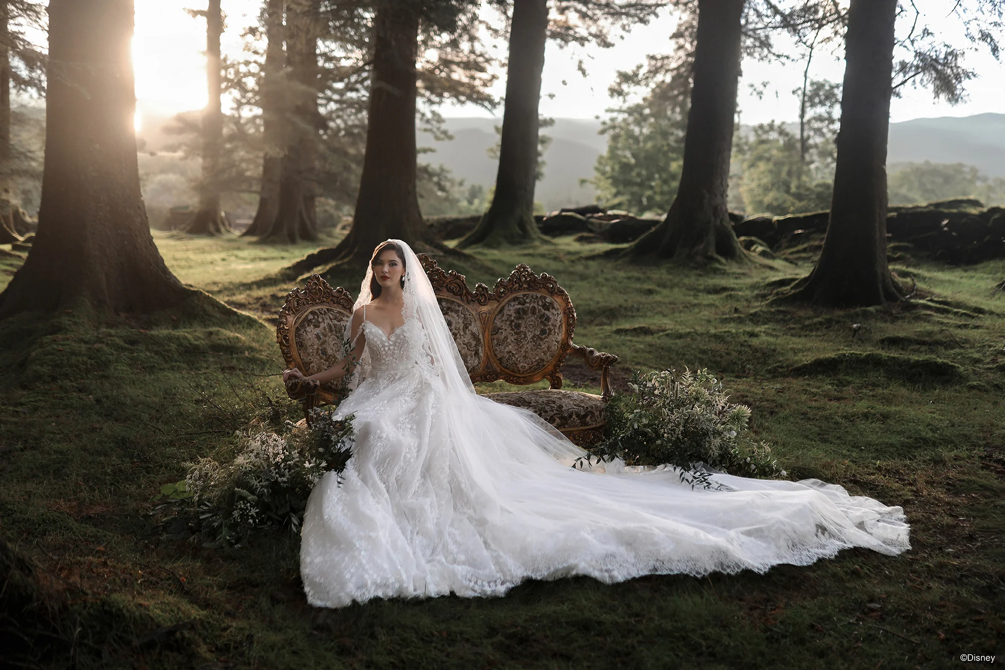 DV57 - Snow White Veil - Image 6