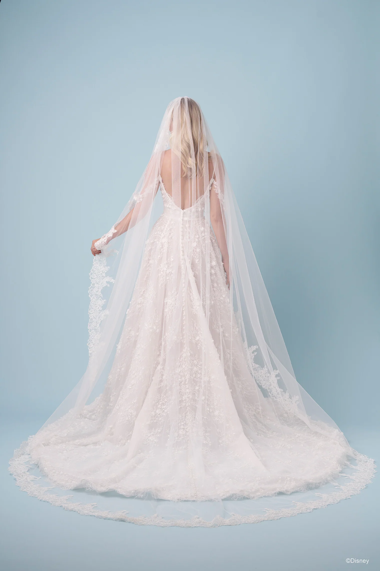DV57 - Snow White Veil - Image 9